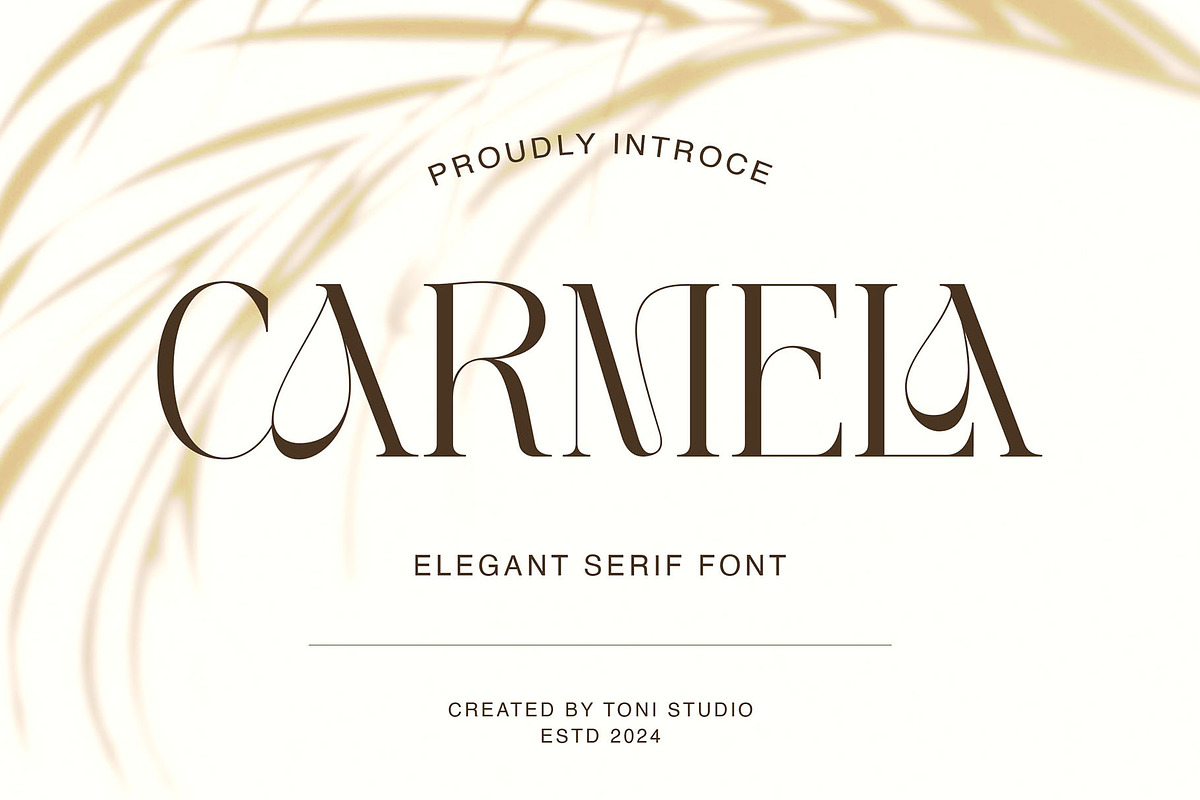 Carmela-Modern and elegant typeface, a Serif Font by ToniStudio (Photo 1 of 10)