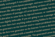 Ortusela Classic Typeface Font, a Serif Font by Storytype Studio (Thumbnail 5 of 15)