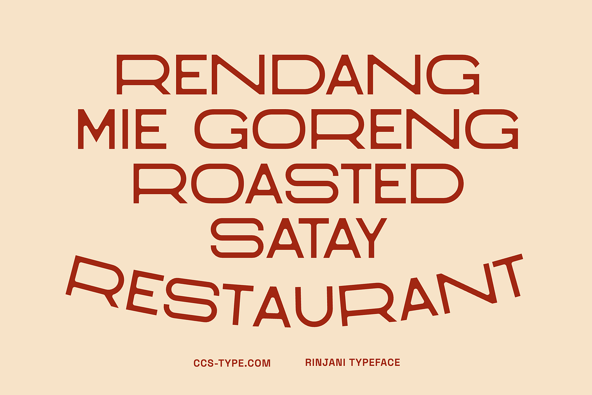 Rinjani Sans - Wide Stretch Typeface, a Sans Serif Font by CCS Type (Photo 8 of 19)
