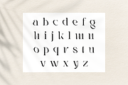 Rogain - Modern Serif, a Serif Font by LoneArmy (Thumbnail 10 of 12)