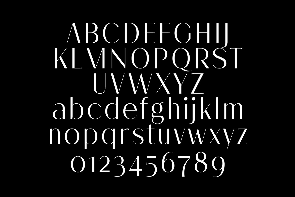 Melloida High Contrast Sans Family, a Sans Serif Font by Lettertype Studio (Photo 9 of 15)