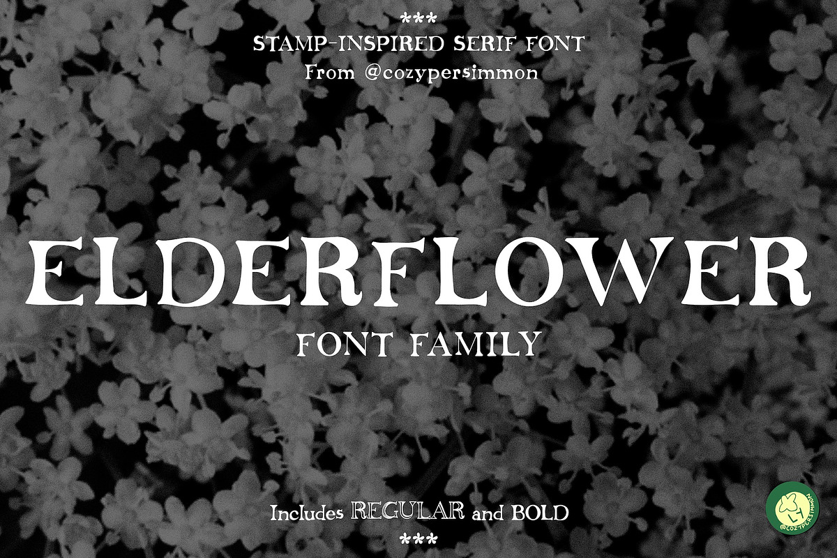 Elderflower Serif Font, a Serif Font by CozyPersimmon (Photo 1 of 8)