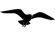 Forest Sky Birds Illustration Vector, an Animal Illustration by Designer_Momina (Thumbnail 6 of 21)