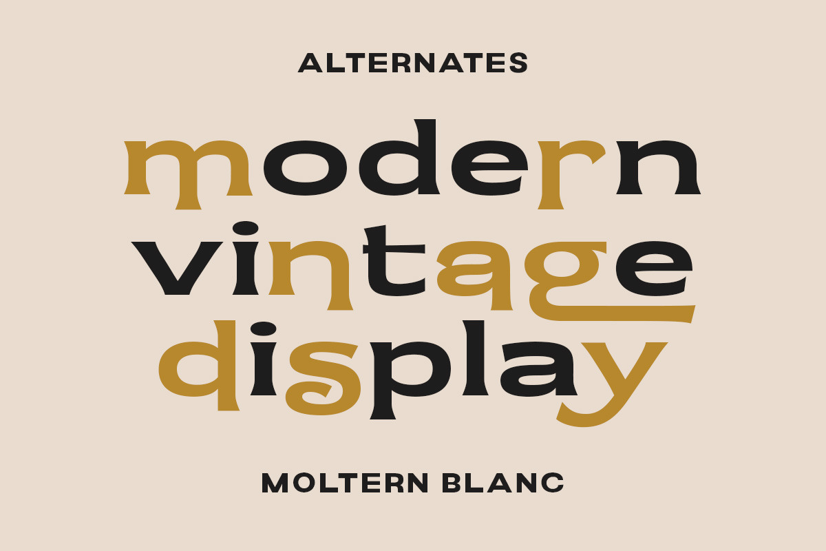 Moltern Blanc - Vintage Display Fon, a Sans Serif Font by Letterhend Studio (Photo 2 of 9)