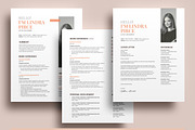 Professional Job Resume Template, a Resume Template by Niofix (Thumbnail 6 of 6)
