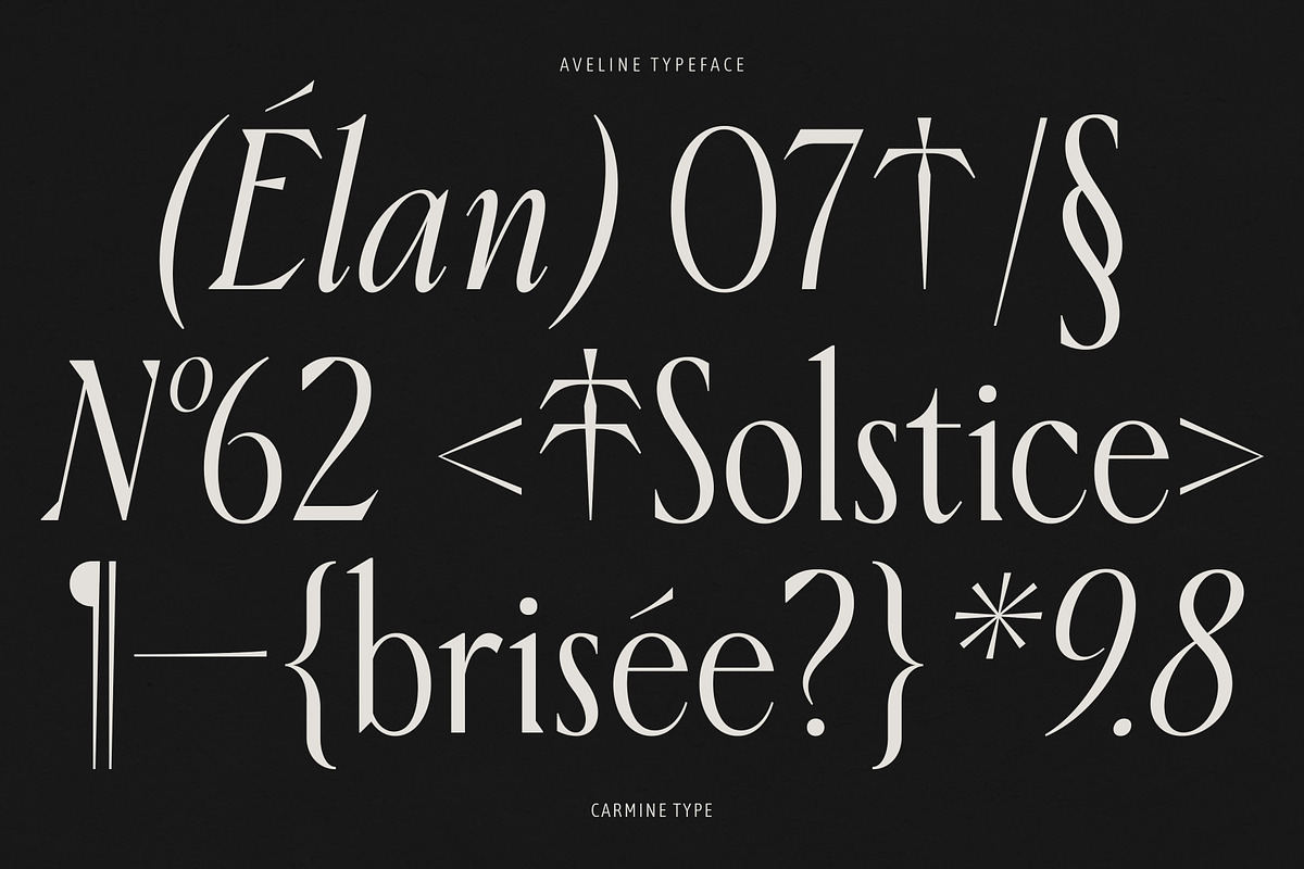 Aveline, Soft Serif with Ligatures, a Serif Font by CarmineType (Photo 7 of 28)