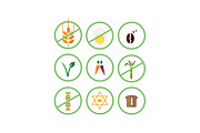 Food Classification Icons, an Icon by Luxgood Creative (Thumbnail 3 of 4)