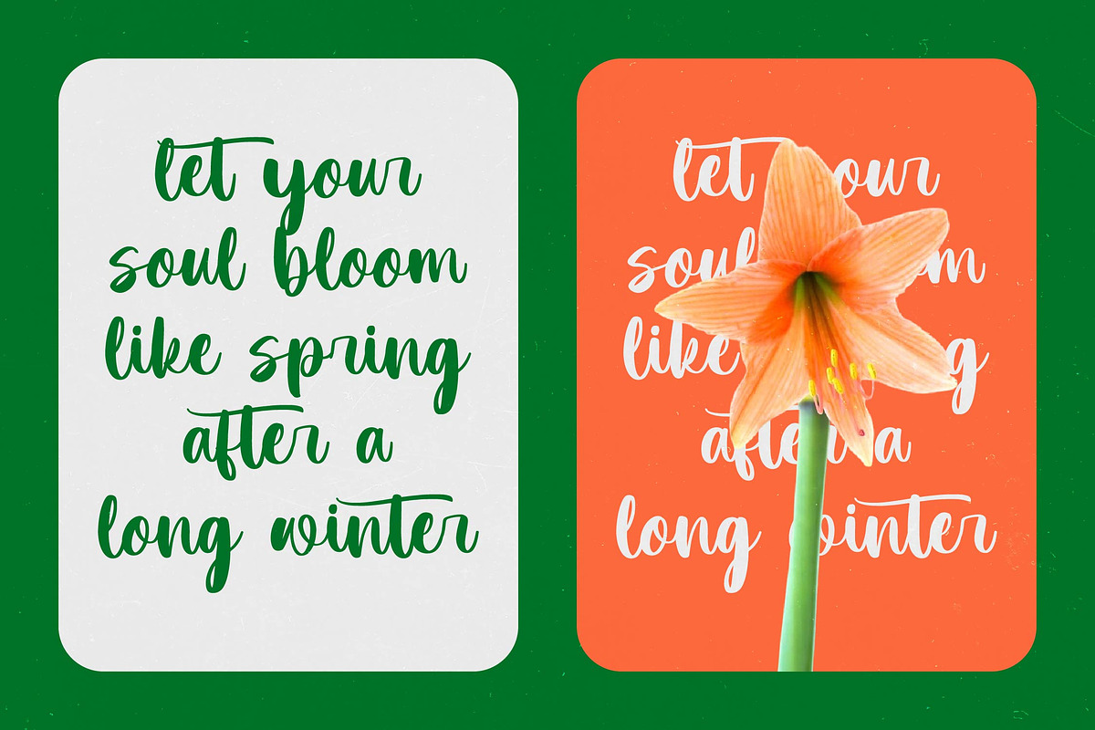Practice Snack Bold Handwritten Font, a Script Font by Letterena Studios Script (Photo 11 of 20)