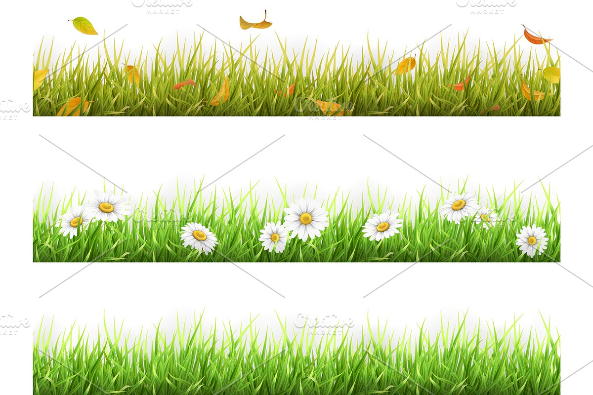 Grass in different seasons set, an Illustration by belander