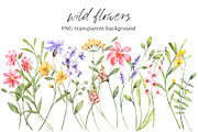 Wild flowers, watercolor clipart PNG, a Decorative Illustration by Larisa Maslova (Thumbnail 1 of 8)