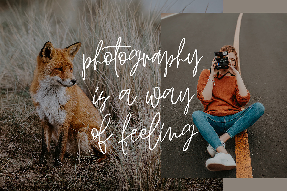 Shadow Script Font Free Download - Script Fonts Preview 2026