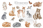 Woodland Animals Watercolor Clipart, an Illustration by Alisles (Thumbnail 4 of 18)