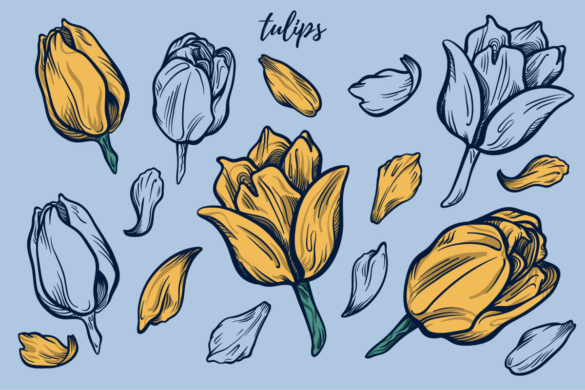 Fancy Florals, an Illustration by melissadn (Photo 5 of 7)