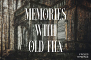 FROLES Modern Serif Font, a Serif Font by Alfinart (Thumbnail 5 of 9)