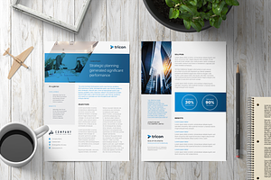 Case Study Flyer Template