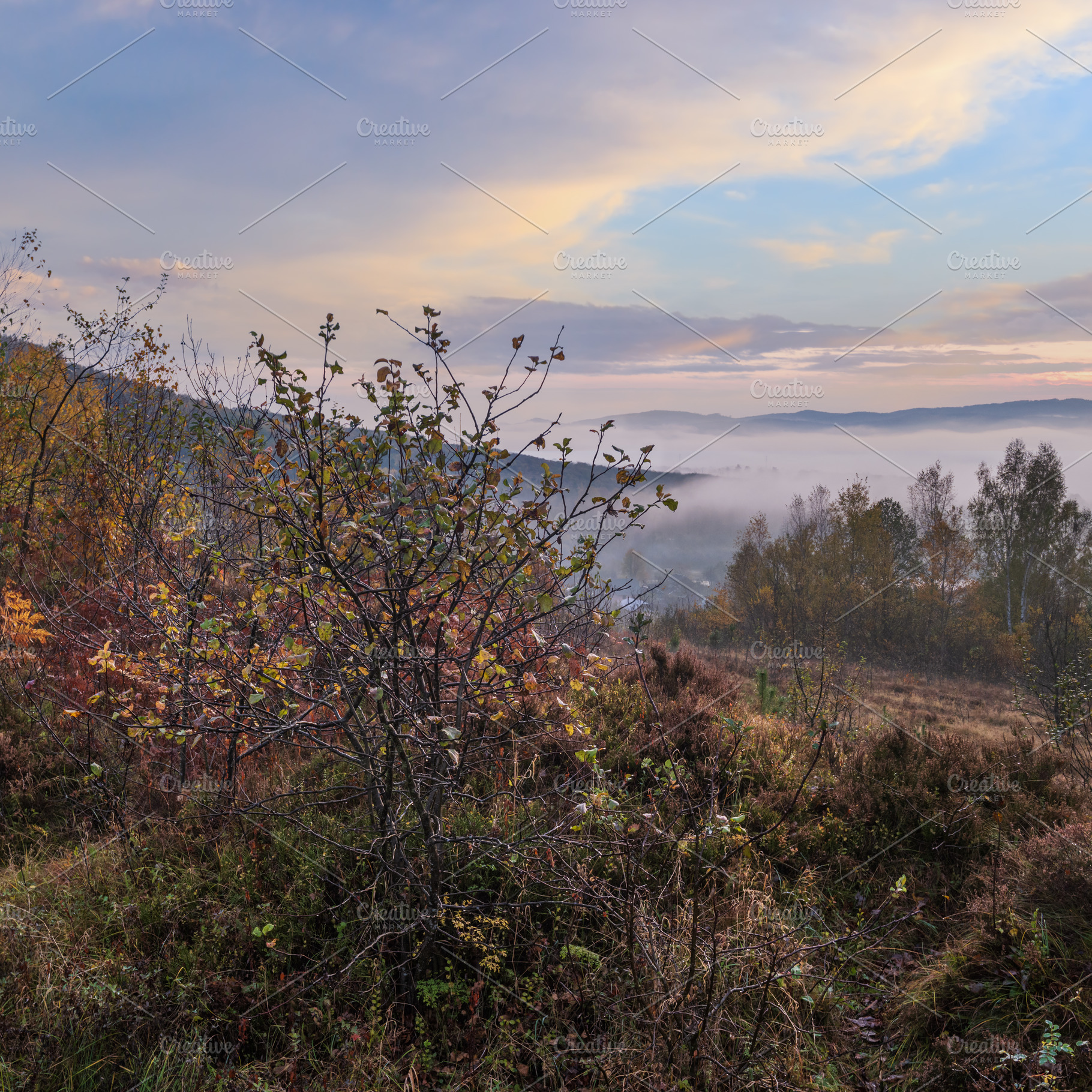 Cloudy and foggy early morning autumn meadow scene. Peaceful pic, a Nature Photo by YuriyB