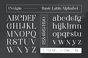 Cevigra Elegant Serif Font, a Serif Font by Graphicxell (Thumbnail 3 of 11)