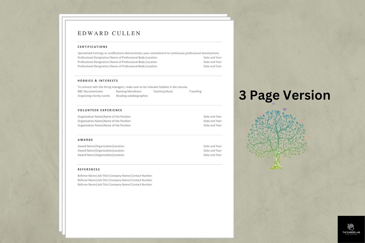 Minimalist ATS system optimised cv, a Resume Template by The Career Lab (Photo 5 of 11)