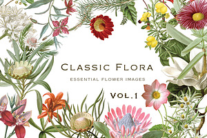 Botanical Flowers vol.1