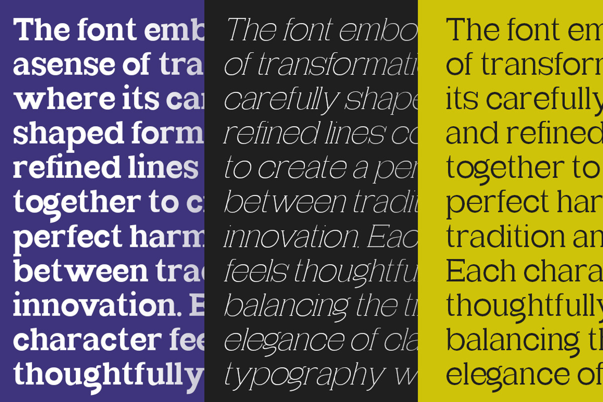 Glagent Slab Super Family 36 Styles, a Slab Serif Font by IM Studio (Photo 6 of 10)