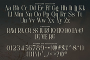 Avelire-modern ligature, a Serif Font by ToniStudio (Thumbnail 8 of 11)