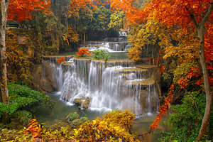 Waterfall in colorful autumn forest featuring thailand, kanchanaburi, and tree