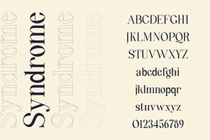 Quinty A Luxury Serif Font Family