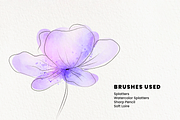 Watercolor Brushes for Procreate, a Brush Add-On by Marshmal Mochi (Thumbnail 5 of 6)