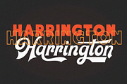 Local Goods Font, a Font by HRDR (Thumbnail 10 of 10)