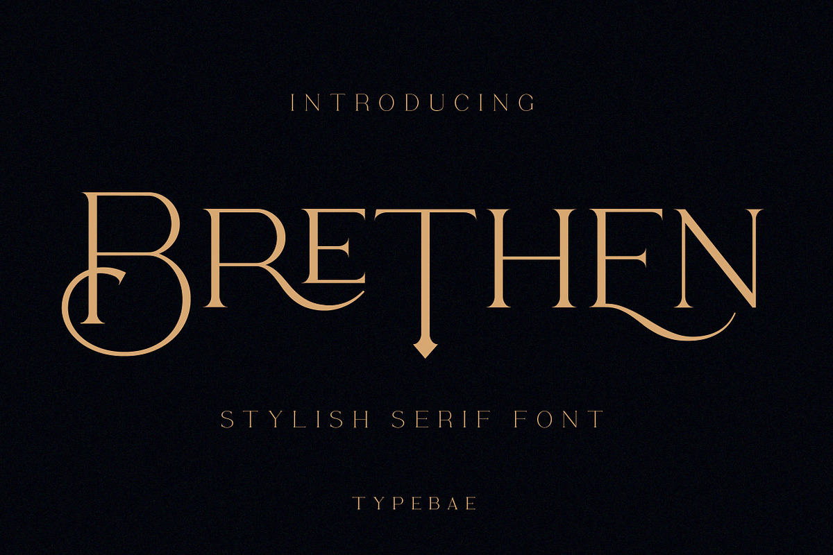 Brethen - Stylish Serif Font, a Serif Font by Typebae (Photo 11 of 13)