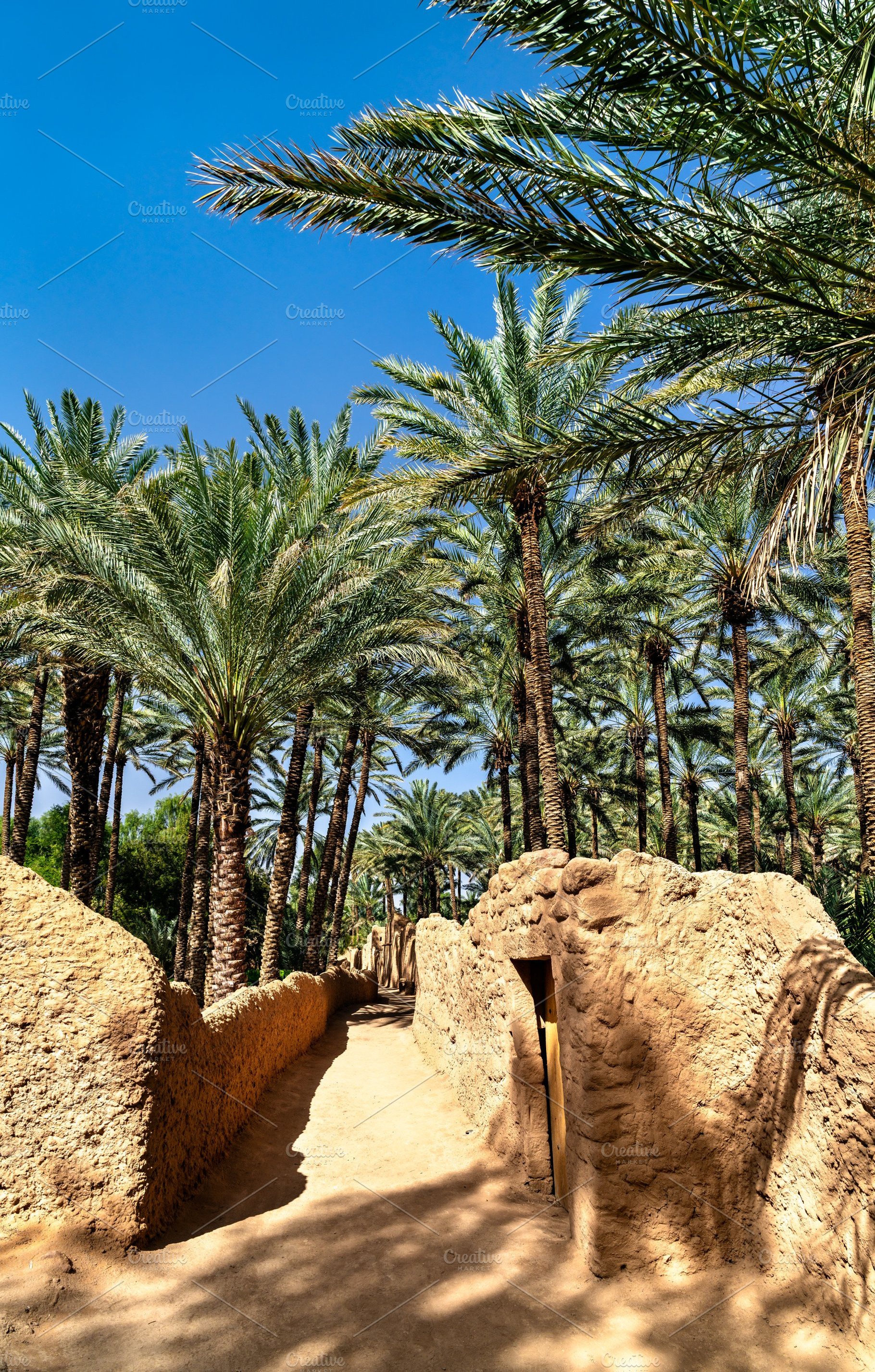 Scenic path through the AlUla Oasis in Saudi Arabia, an Architecture Photo by Leonid Andronov