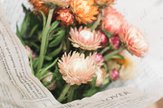 Golden Stock Photo Photo Bundle, a Business Photo by Savvy Stock Shop (Thumbnail 11 of 11)