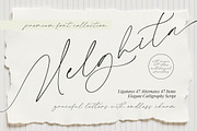 Melghita Elegant Calligraphy Script, a Script Font by Letterena Studios Script (Thumbnail 1 of 10)