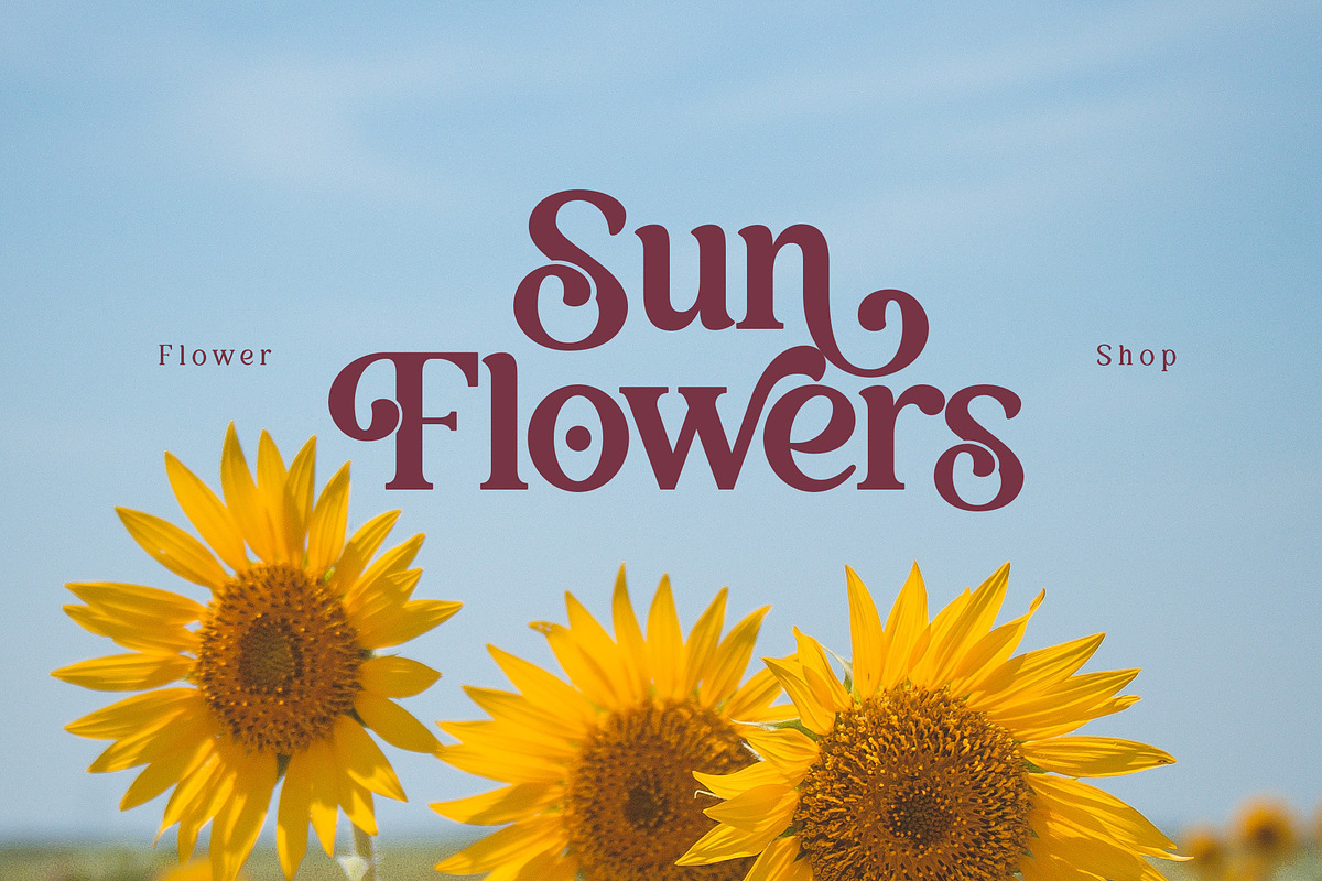 Balivia - Bold Serif Family, a Serif Font by Ardyanatypes (Photo 6 of 12)