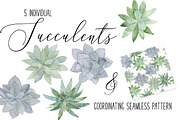 Watercolor Succulent Graphics Bundle, an Illustration by DailyMiracleDigitals,LLC (Thumbnail 3 of 9)