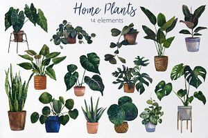 Watercolor Houseplant Set