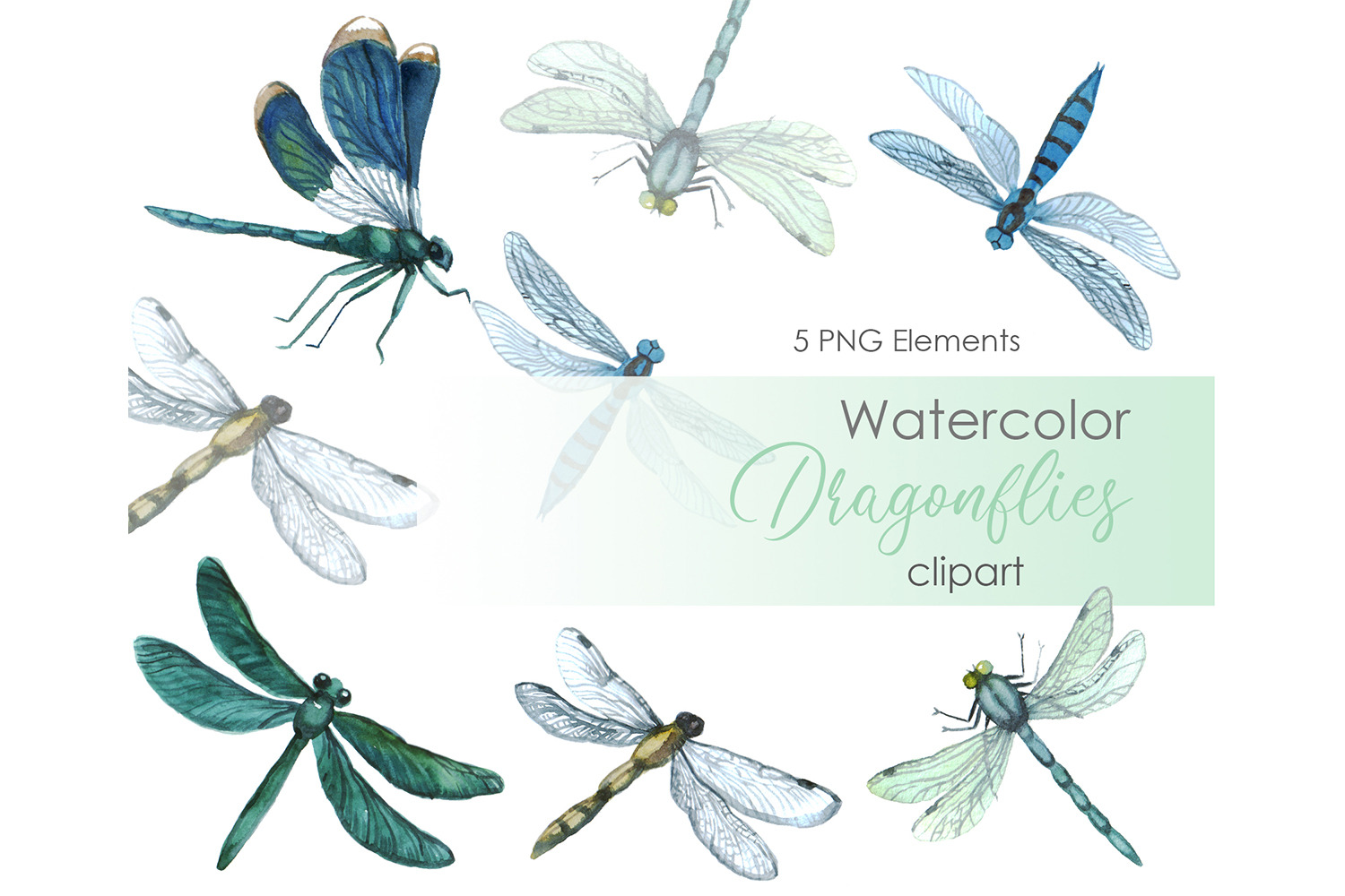 Watercolor clipart Dragonfly png, an Animal Illustration by ...