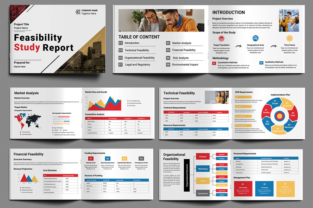 Feasibility Study Report