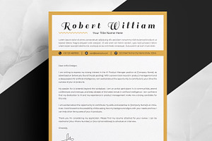 Vibrant Professional CV