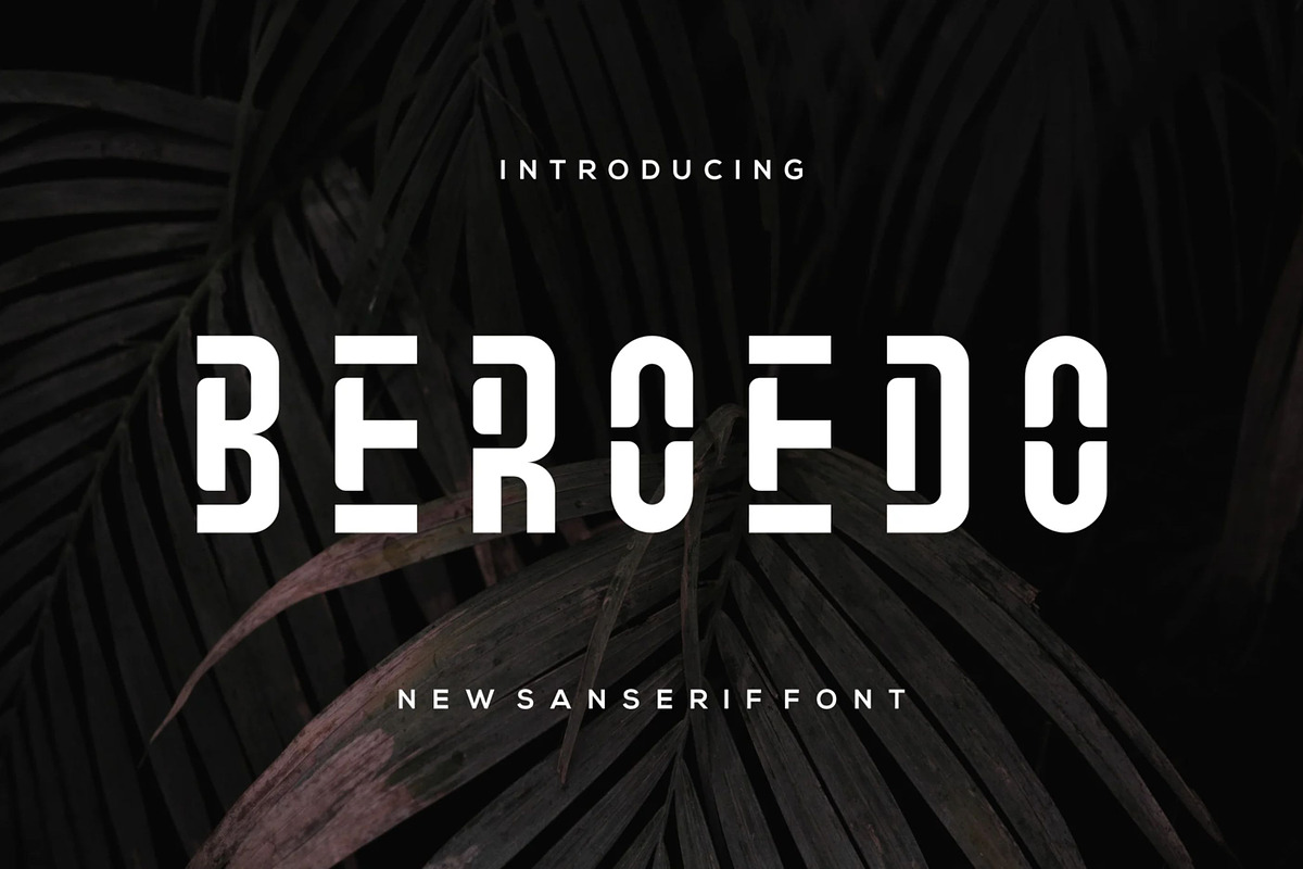 Boroedo, a Sans Serif Font by Auliacreative (Photo 1 of 4)