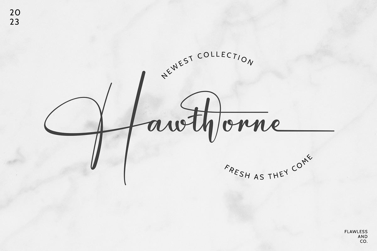 Magellin - Elegant Signature Script, a Script Font by Flawless And Co (Photo 8 of 10)