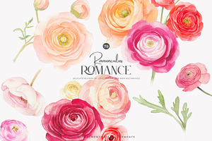 watercolor ranunculus clipart set, a Decorative Illustration by Patishop Art
