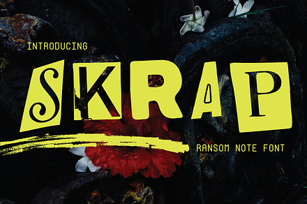 SKRAP, a Font by lilianahill