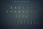 Golden Bird Serif font + Cool Extras, a Serif Font by VP Fonts (Thumbnail 9 of 13)