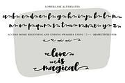 Hello November Font Duo, a Script Font by theinkaffair (Thumbnail 9 of 11)