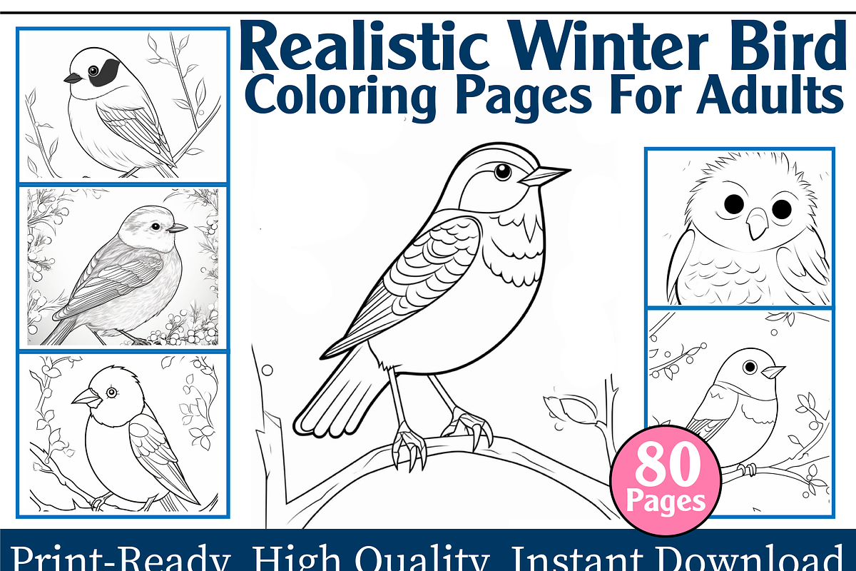Realistic Winter Bird Coloring Pages, an Animal Illustration by maggiesar (Photo 1 of 4)
