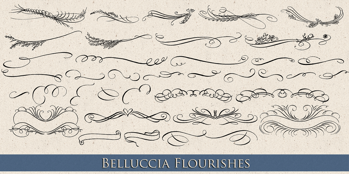 Belluccia, a Script Font by Correspondence Ink (Photo 6 of 12)