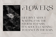 Sesandra Modern All Caps Serif, a Serif Font by Violet Natural (Thumbnail 6 of 9)