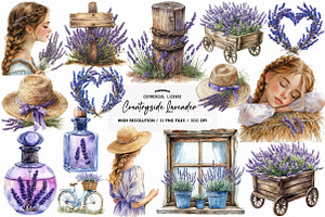 Countryside Lavender Clipart, an Illustration by SinaCreation