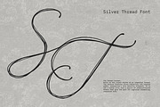 Silver Thread Textured Script Font, a Script Font by AnMark (Thumbnail 7 of 10)